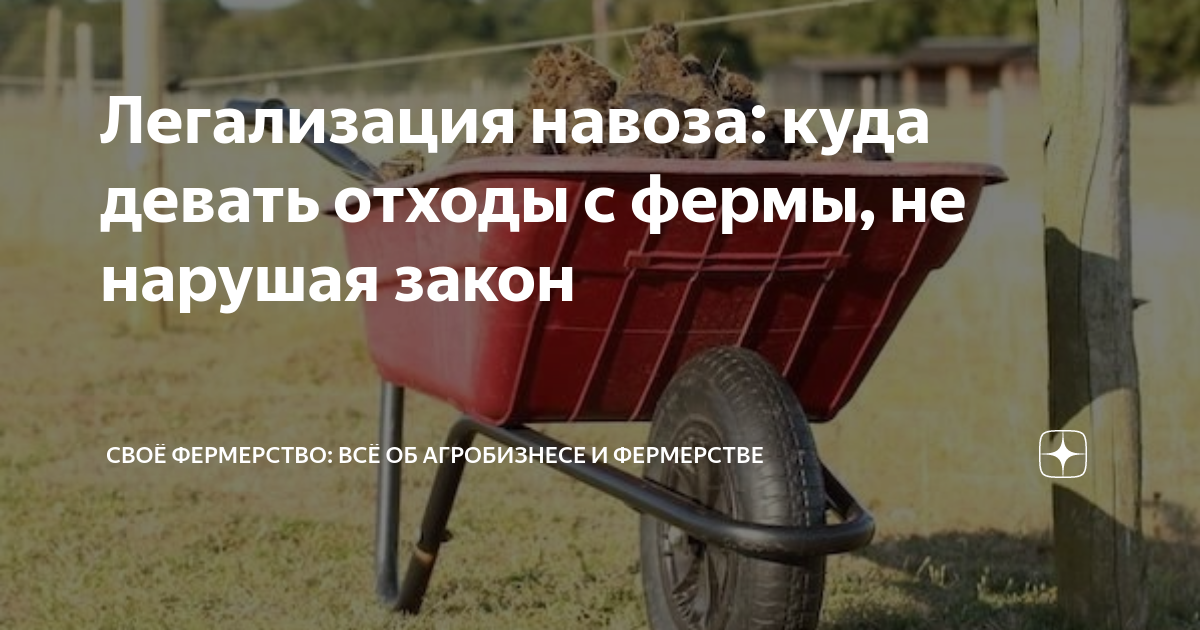 Легализация навоза: куда девать отходы с фермы, не нарушая закон | Своё ...