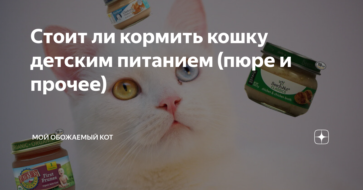 Можно ли давать кошкам детское питание. Можно ли давать кошкам детское питание