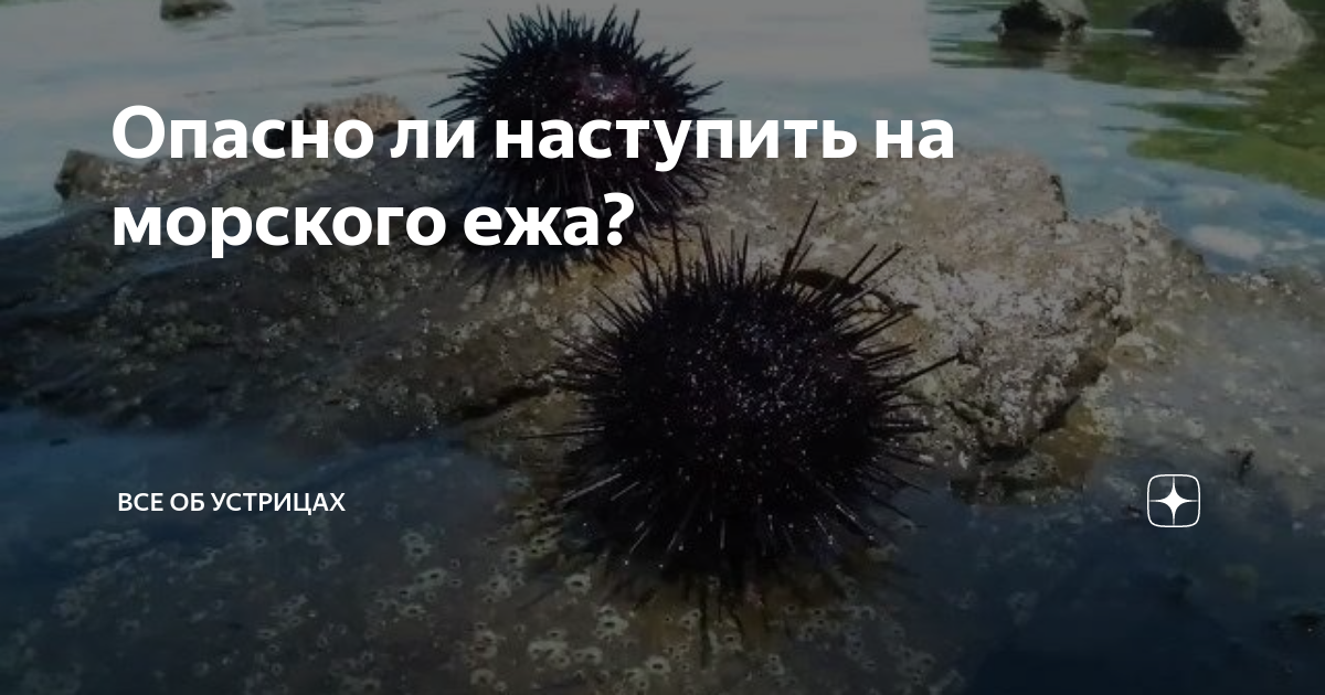 ЧТО... ЭТО... ТАКОЕ??? Дополняю...