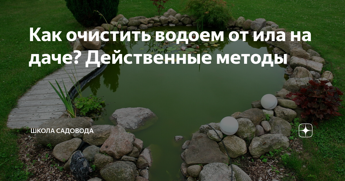 Как очистить воду в водоеме и пруду