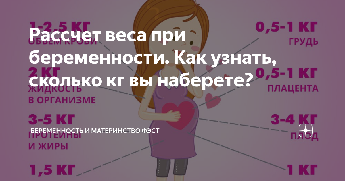 16 недель сколько месяцев у беременной. Триместры беременности по неделям. Набор веса во втором триместре. Сколько набирают за беременность. Беременность по триместрам таблица.