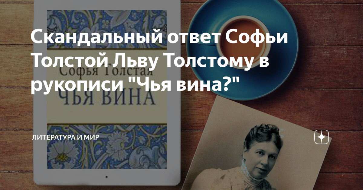 Книга софьи толстой чья вина