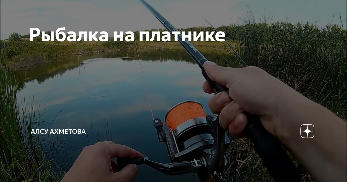 Законно ли ловить