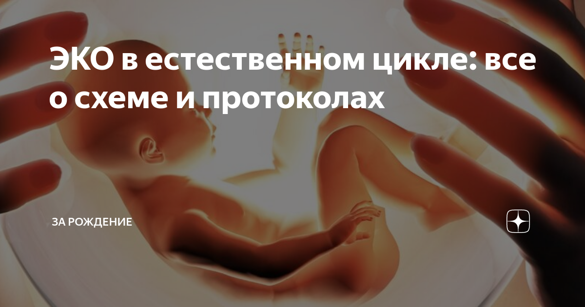 Эко в естественном цикле отзывы