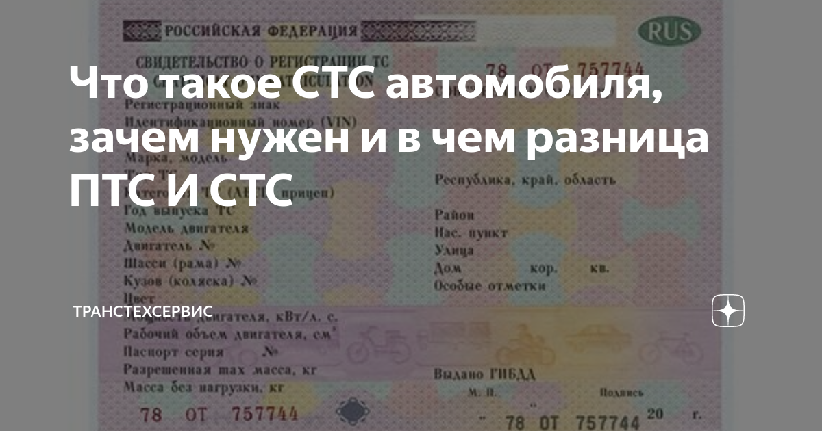 Где находится номер стс