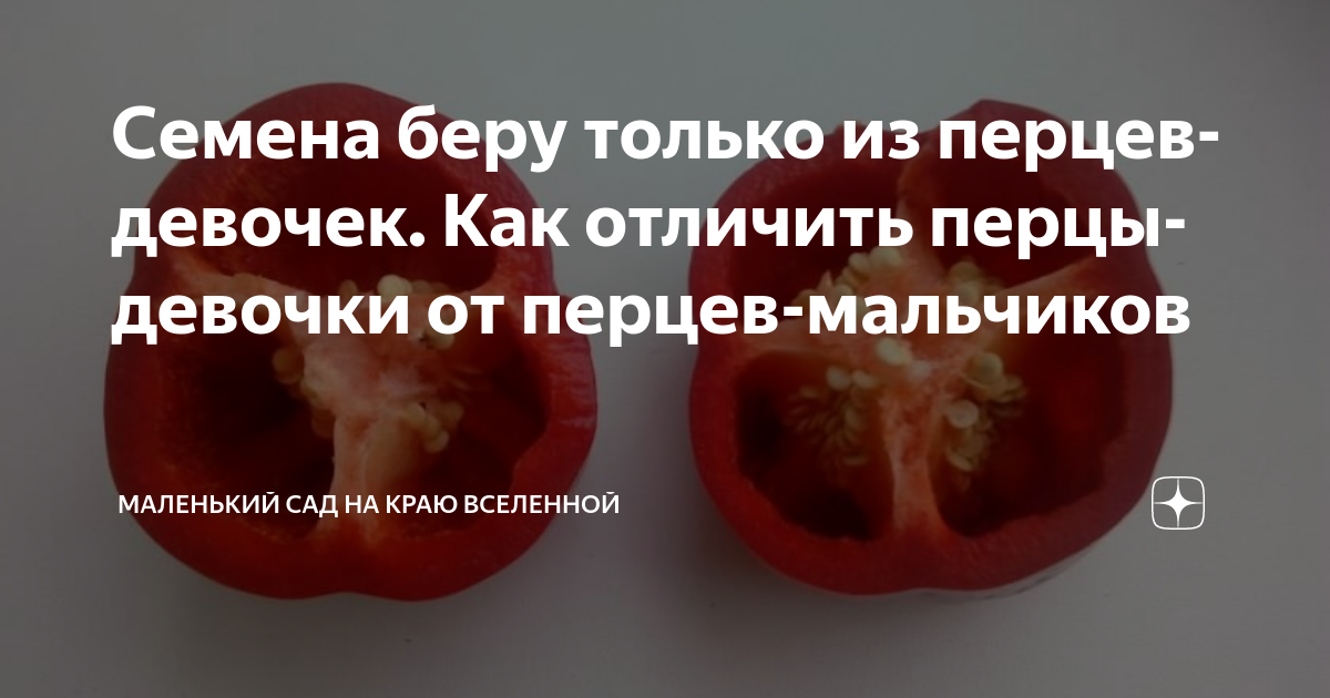 Мужской и женский перец болгарский как определить
