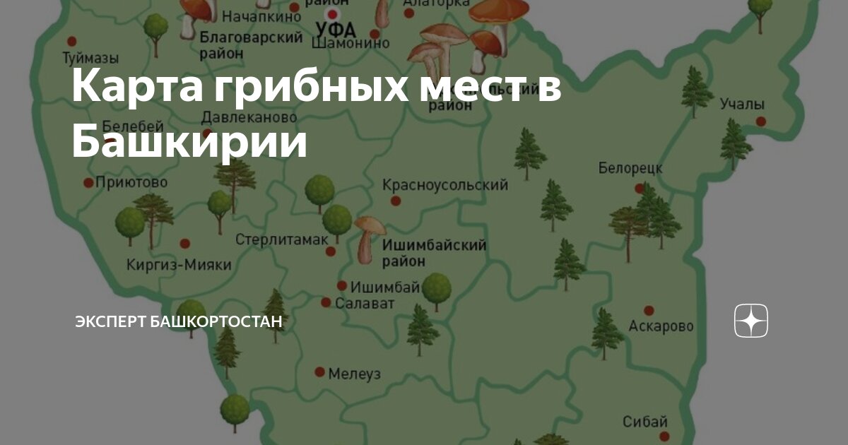 Карта грибных мест волгоградской области