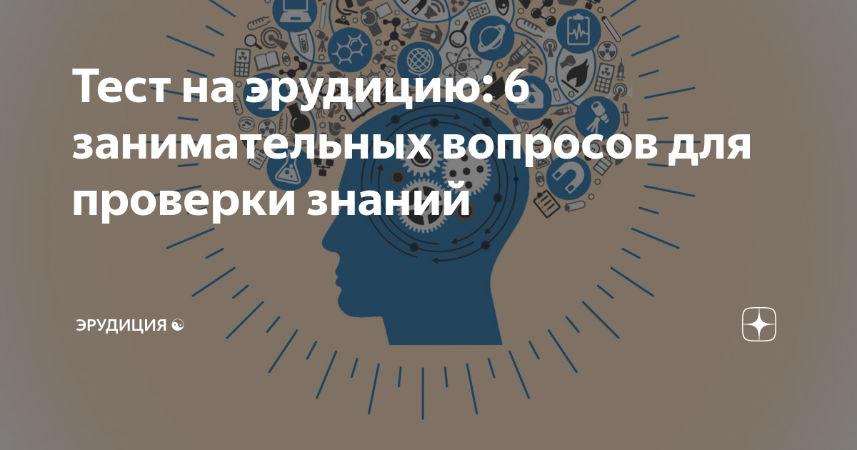 Эрудиция значение. Тест на эрудицию 100 вопросов с ответами. Эрудиция. Тест на эрудицию и интеллект 15 вопросов.