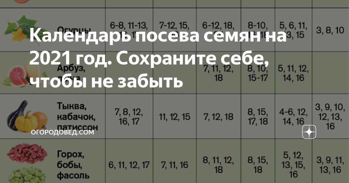 Юность весеннее время человека в которое засеваются семена на будущие годы жизни схема предложения