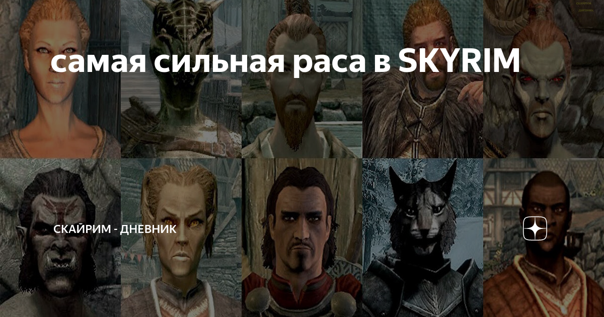 самая сильная раса в SKYRIM | TomJimJack | Дзен