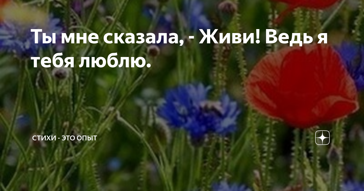 Комментарии:
