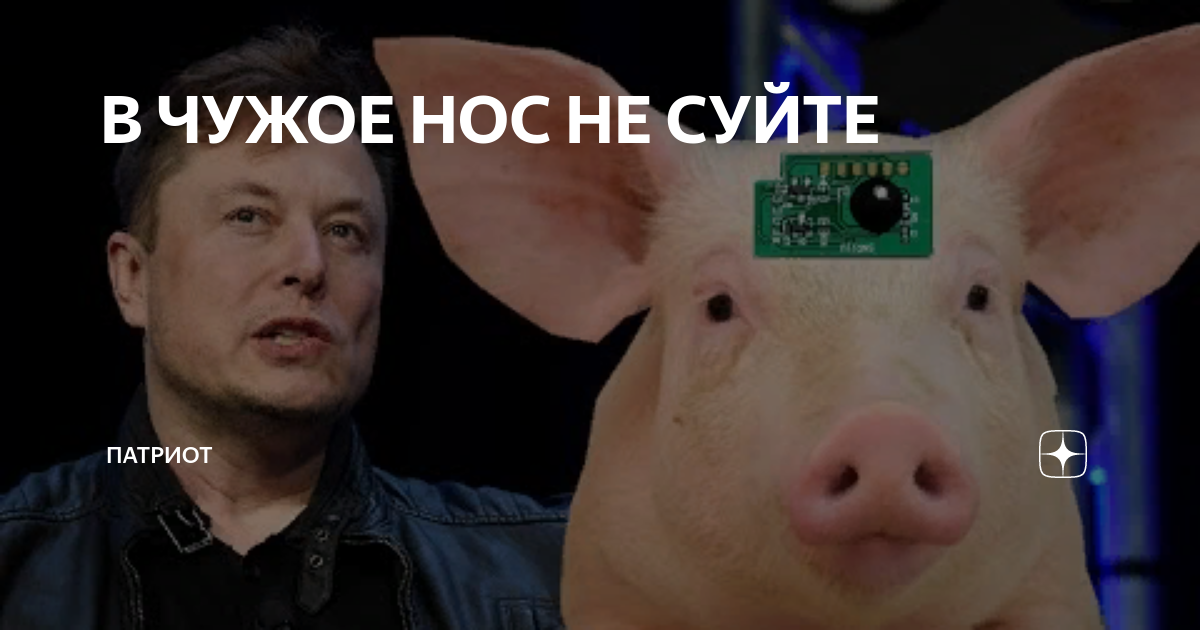 Не суйте нос в чужую. Не суй свой нос в чужой вопрос. Не суйте свой нос в чужие жизни. Не суй свой нос в чужие дела цитаты