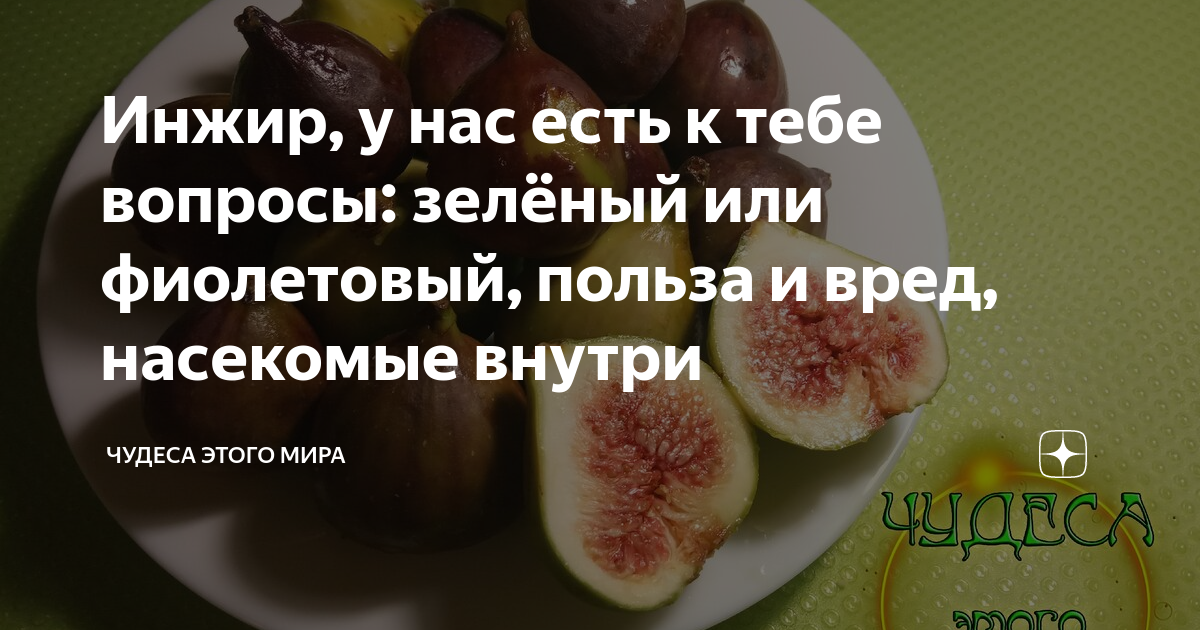 Калорийность инжира свежего на 100 грамм. Инжир польза. Инжир полезные свойства. Чем полезен инжир для организма. Инжир польза для организма.