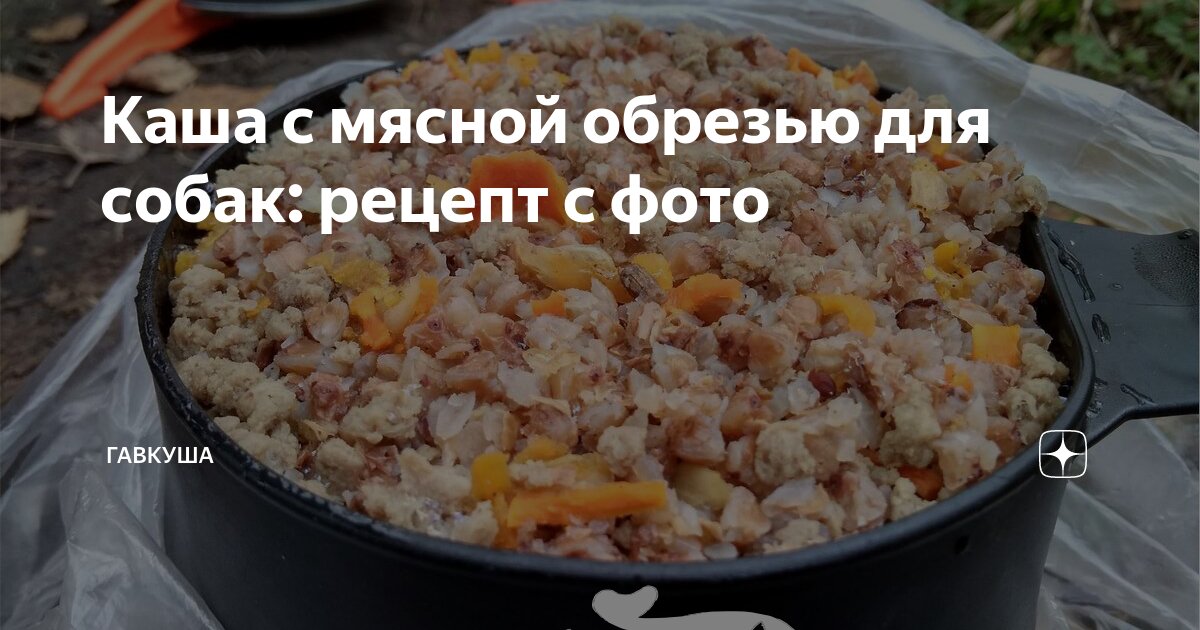 как сварить кашу с мясом для собаки