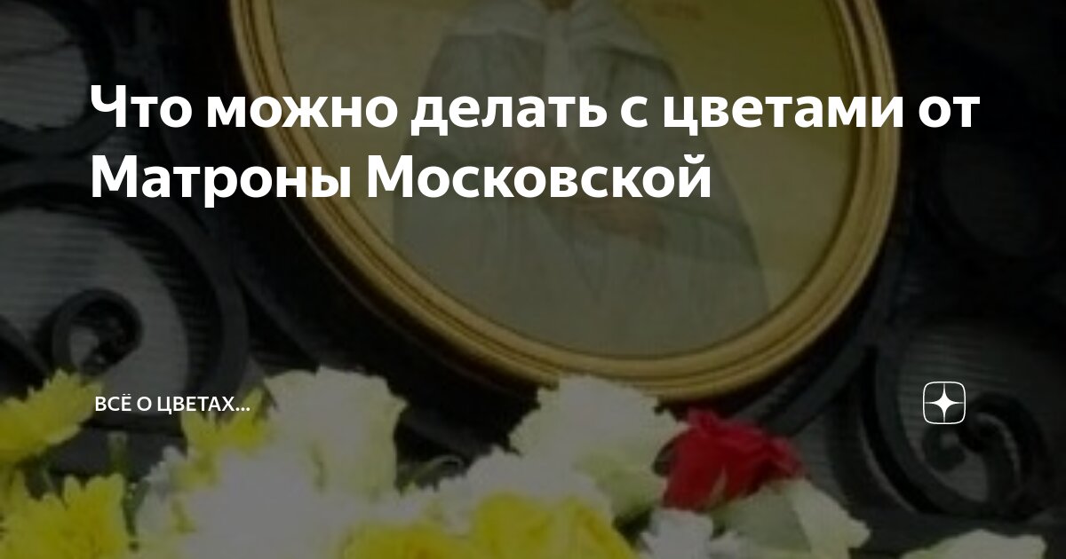 Что можно делать с цветами от Матроны Московской