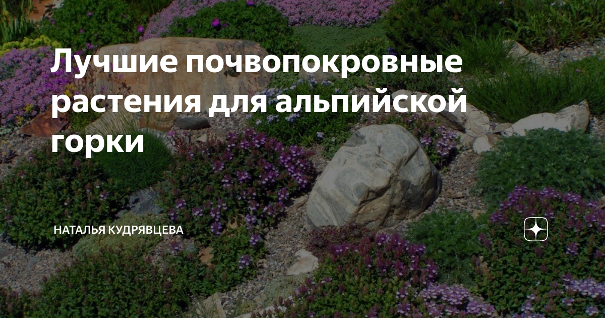 Лучшие почвопокровные растения для альпийской горки | Волшебный сад | Дзен