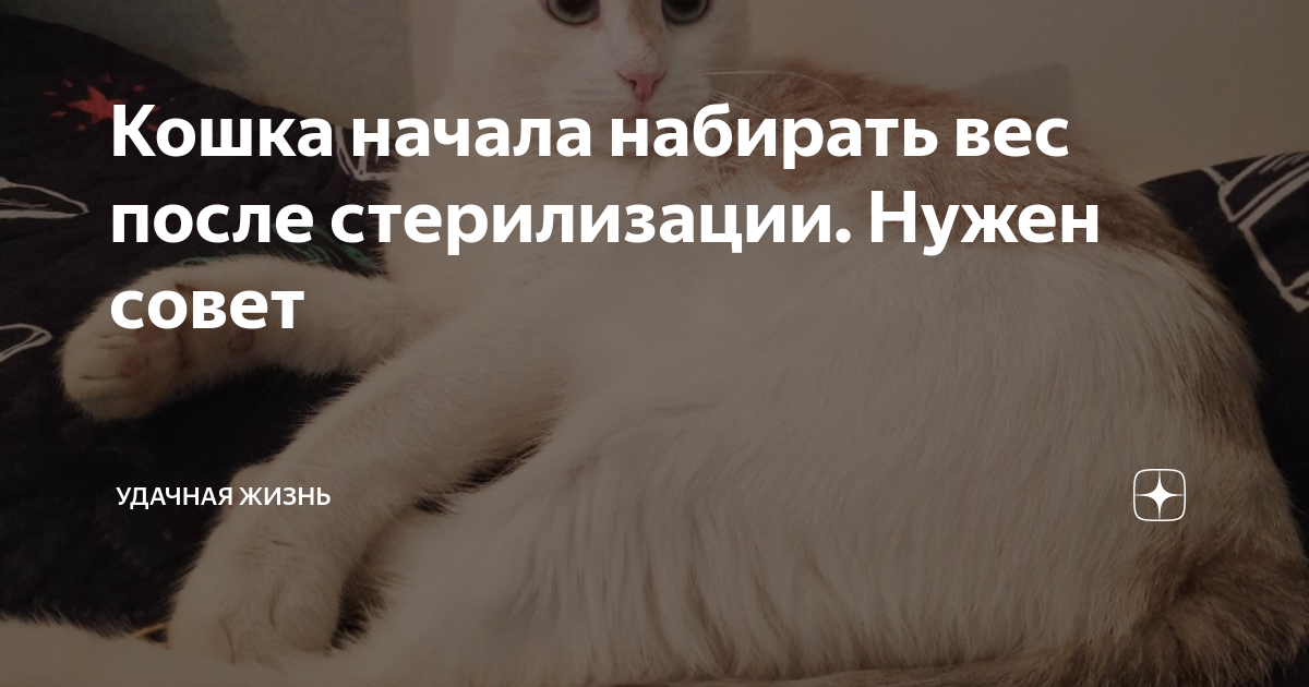 Набирать вес после стерилизации. Набирать вес после стерилизации