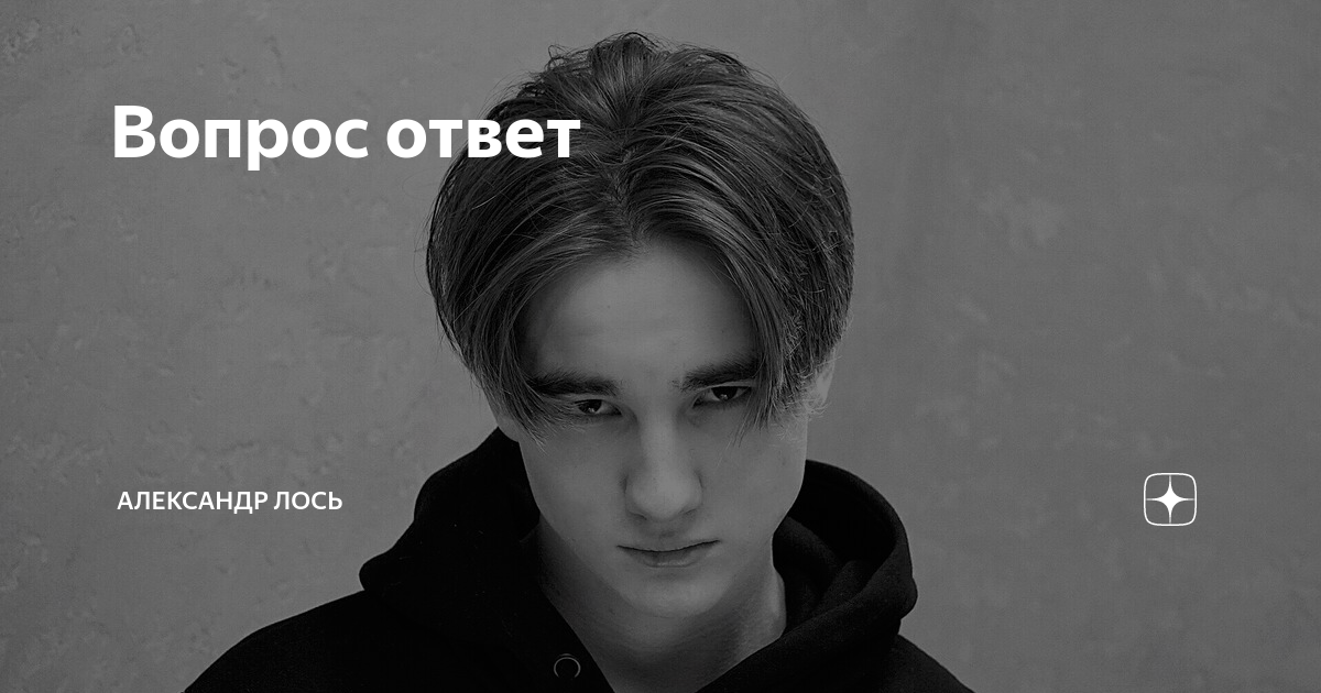 В Ярославле по улицам ходили три лося - KP.RU