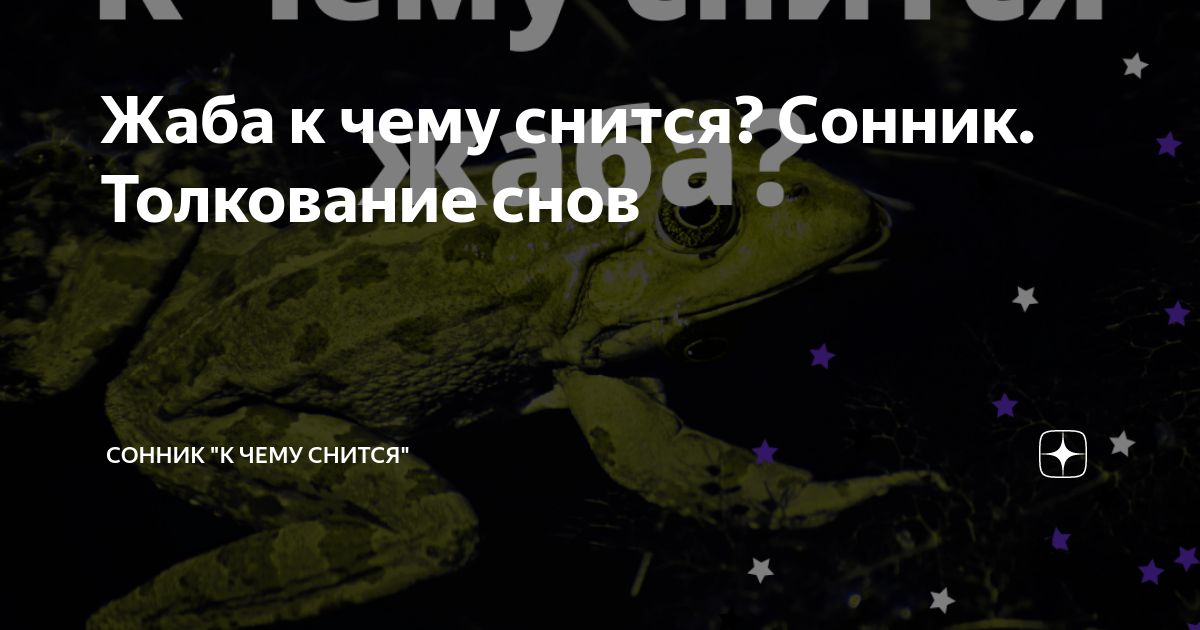 Сонник жаба. Сонник лягушка во сне для женщины. К чему приснилась жаба. Сонник приснилось лягушки зеленые много. К чему снится жаба во сне