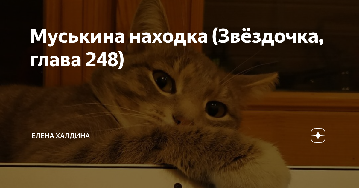 Халдина дзен звездочка. Звездочка 248 глава Елена Халдина. Звездочка глава. Находки звездочек. Звёздочка ещё не звезда Елена Халдина глава 174 часть 2.