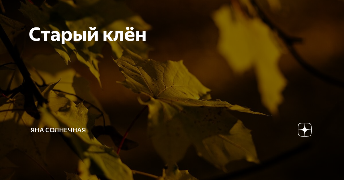 старый клен. старый клен текст. слова песни клен шумит. старый клен ноты для фортепиано для начинающих. старый клен ноты для фортепиано.