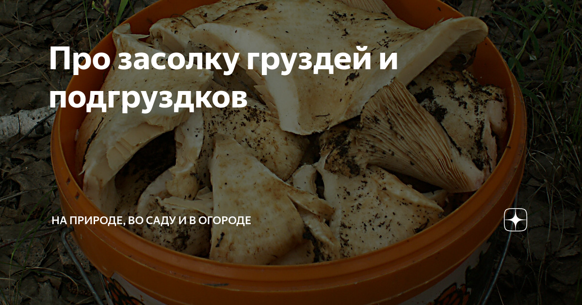 Как солить подгруздки холодным способом