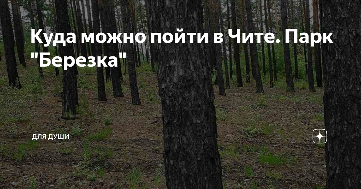 где находится березка. где находится березка. турбаза березка нугуш. парк березовая роща куусинена. где находится березка.