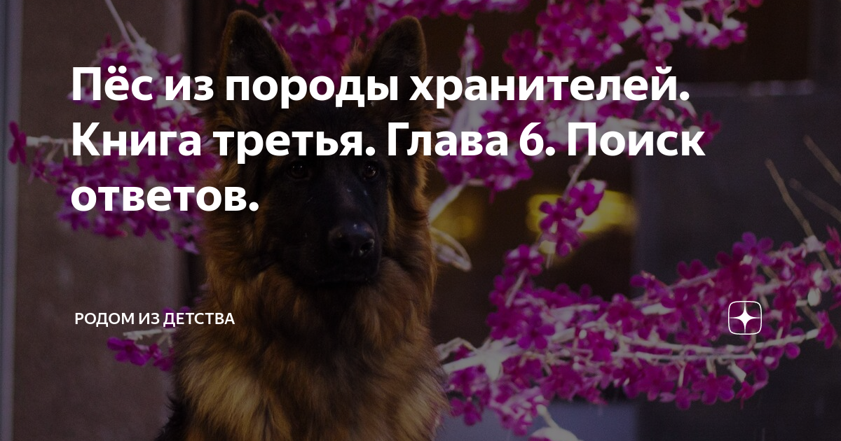 Пёс из породы хранителей. Книга третья. Глава 6. Поиск ответов. | Родом ...