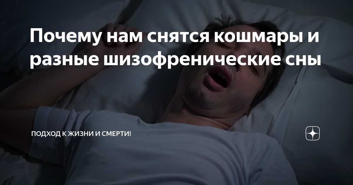 Почему нам снятся кошмары и разные шизофренические сны Весёлый топор Дзен
