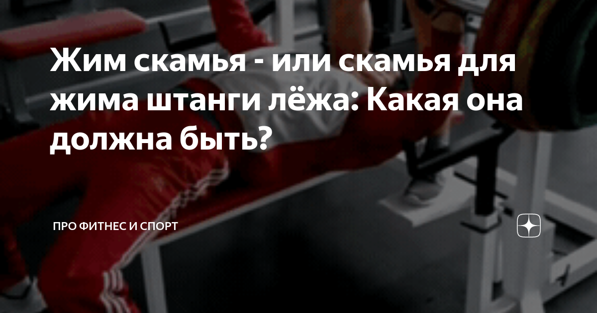 Спортзал дома: как выбрать скамью для жима и пресса