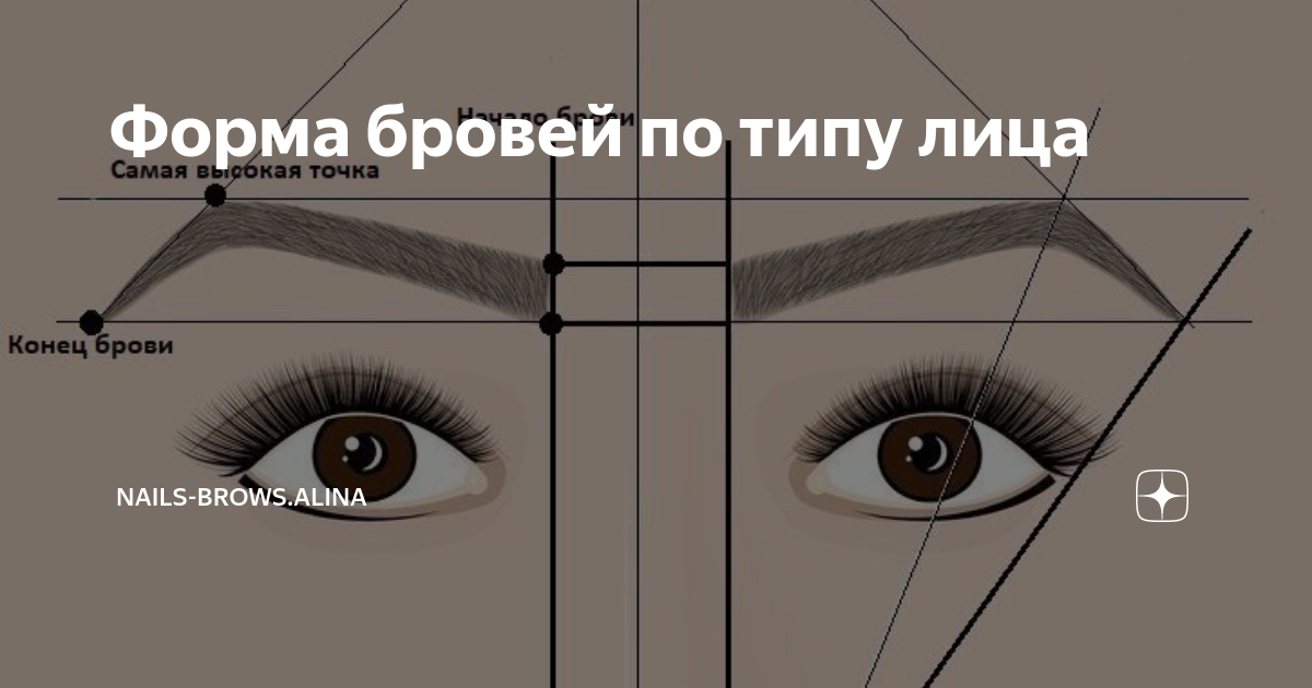 Правильные брови схема