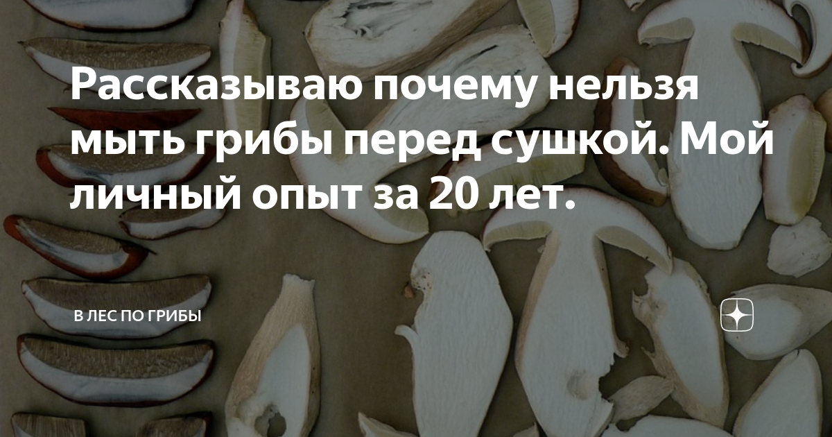 можно ли мыть белые грибы перед сушкой