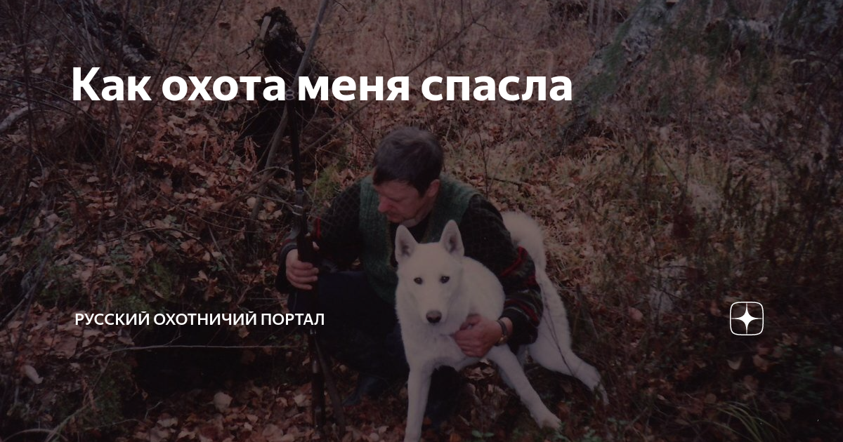 Как охота меня спасла | Русский охотничий портал | Дзен