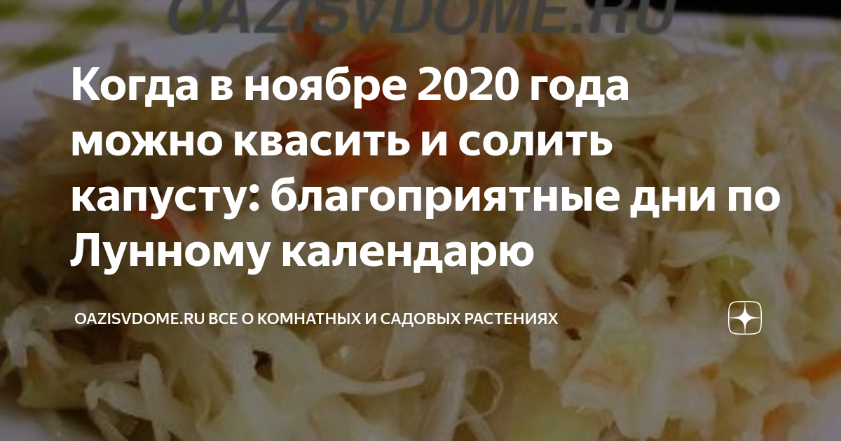 Засолка капусты в декабре 2023 благоприятные дни. Квашеная. Капуста по лунному календарю. В ноябре квасить капусту 2020. Календарь квашения капусты. Календарь квашения капусты в 2020 году.