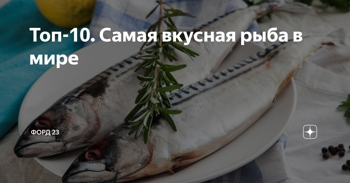 Самая вкусная рыба в мире топ 10 картинки