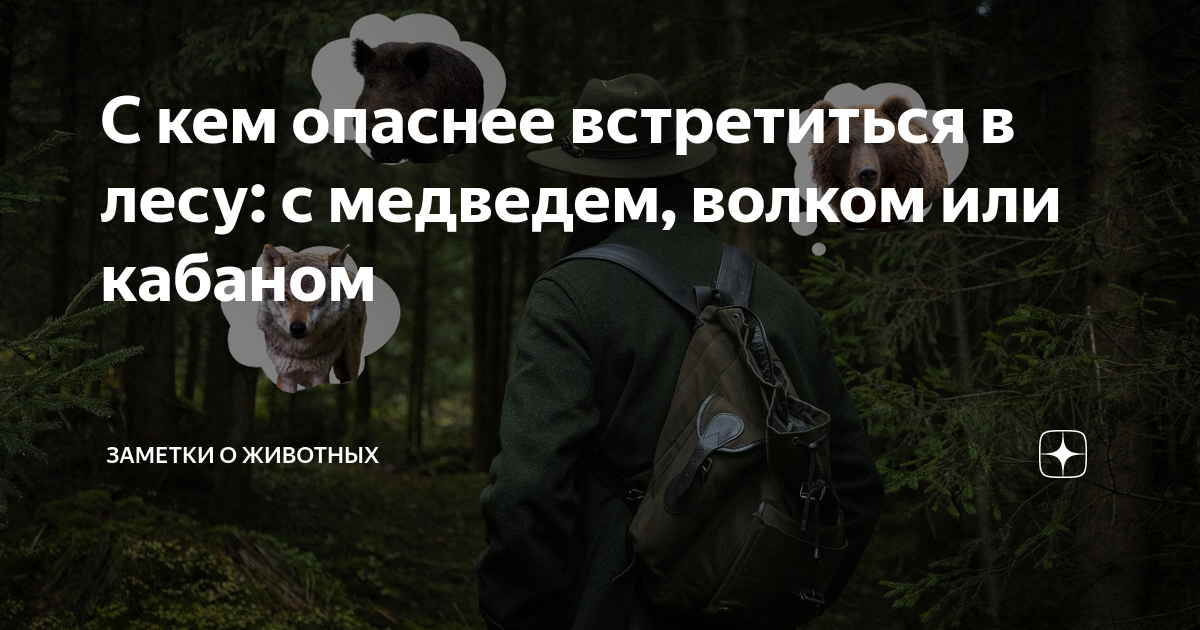 тест с кем вы идете по лесу