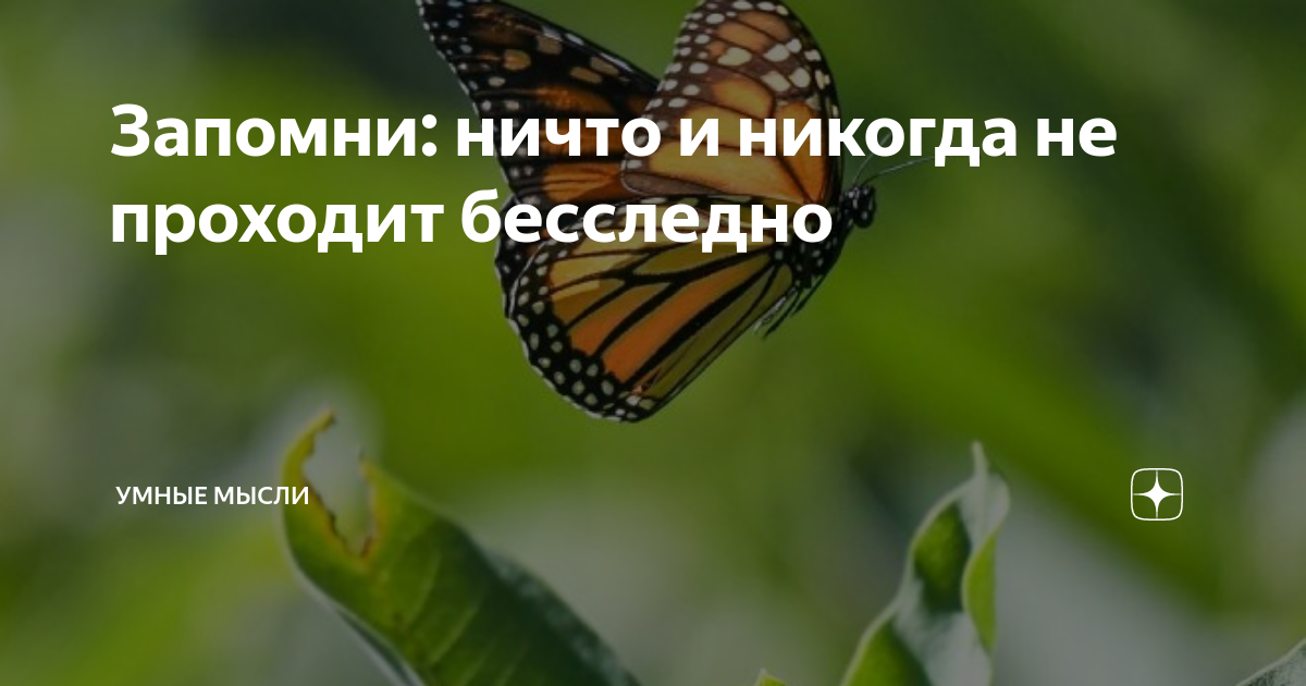 говори правду и тогда не придется ничего запоминать. 10 правил жизни человека. ничего запоминающегося. правил жизни. 10 правил жизни.