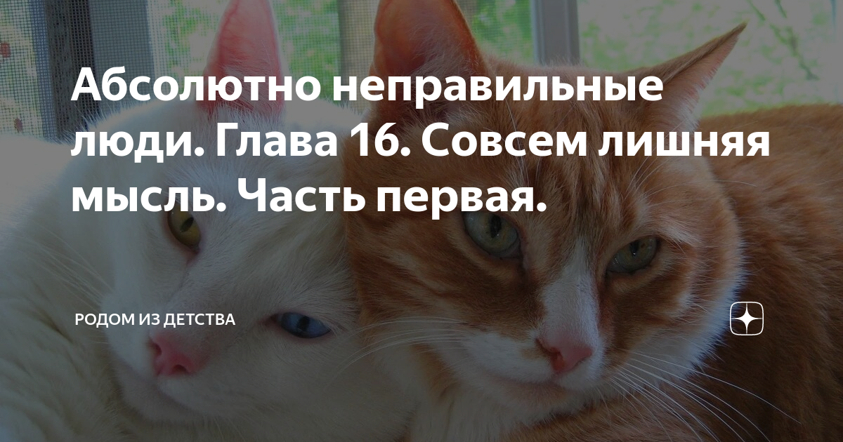 Абсолютно неправильные люди. Глава 16. Совсем лишняя мысль. Часть ...
