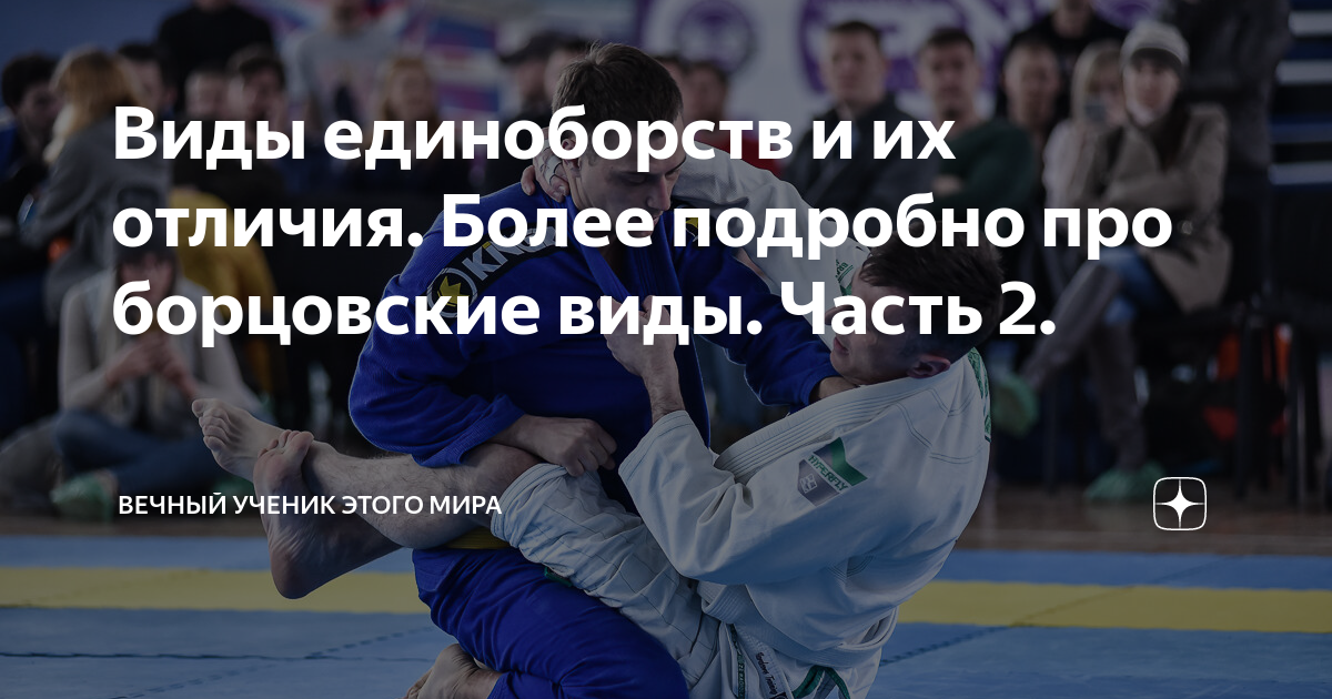 Виды единоборств и их отличия. Более подробно про борцовские виды ...