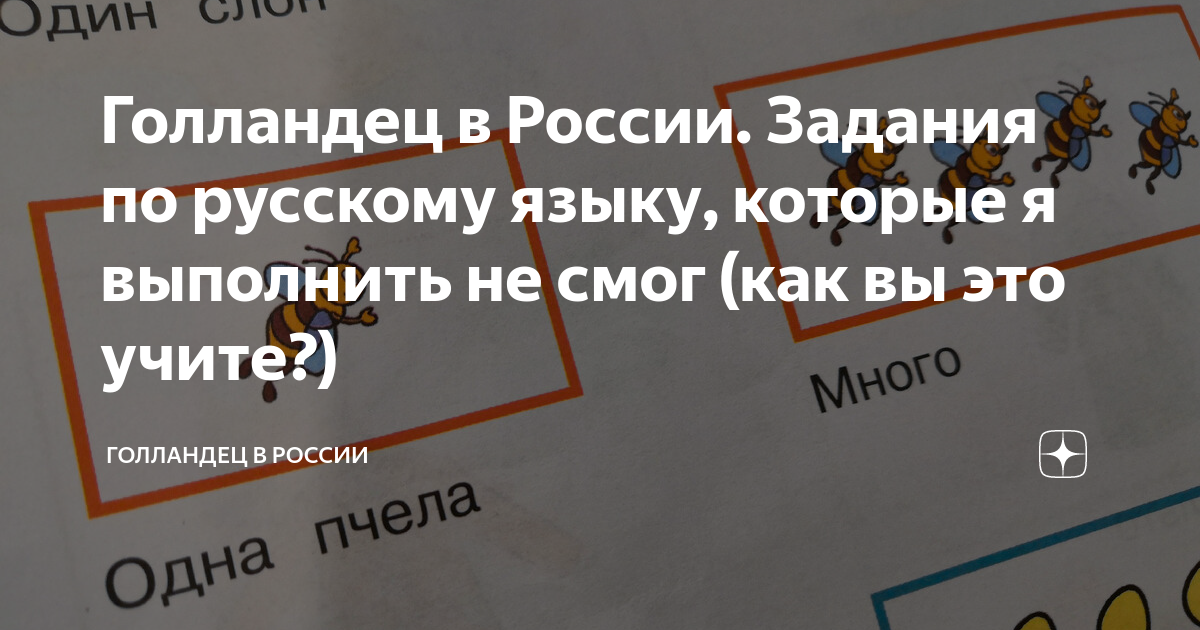 Голландец в России. Задания по русскому языку, которые я выполнить не ...