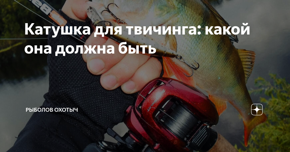 Катушка для твичинга: какой она должна быть | Рыболов Охотыч | Дзен