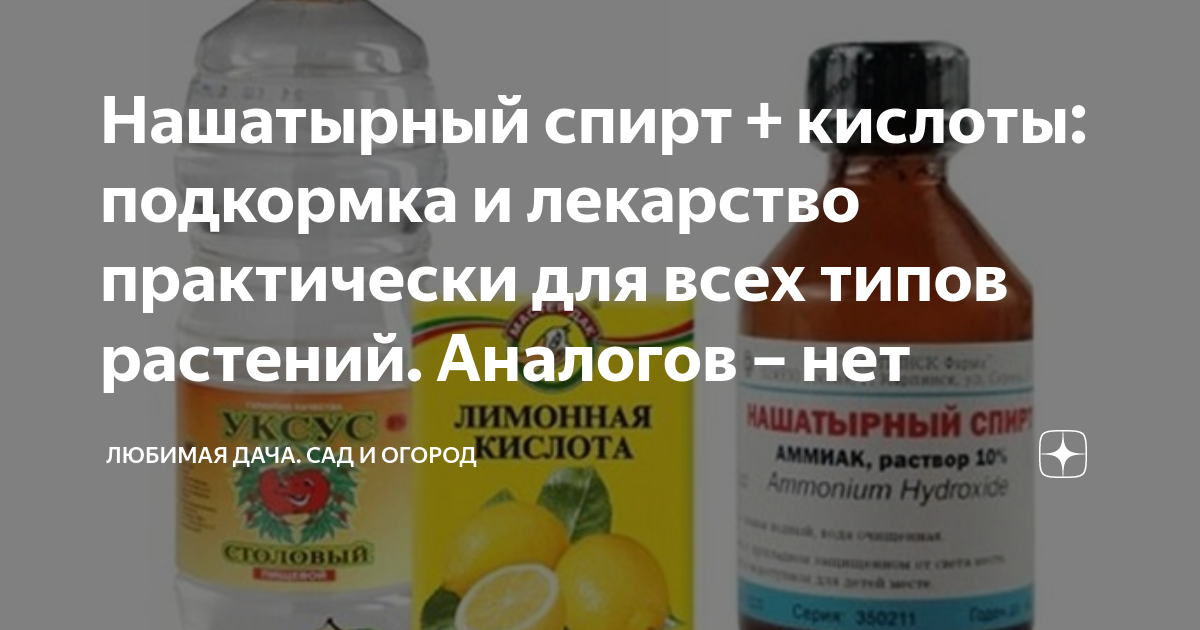 Нашатырный спирт + кислоты: подкормка и лекарство практически для всех ...