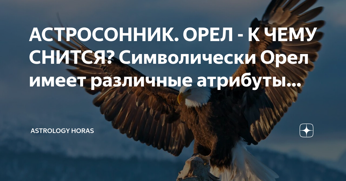 Сон, в котором вы видите орла
