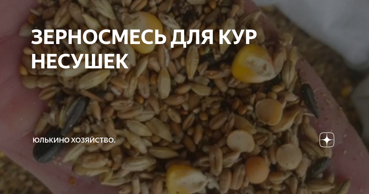 Купить зерносмесь для кур несушек, голубей и др. птицы в Москве и Московской области