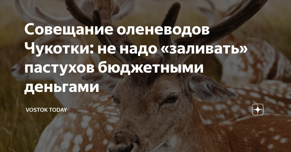 Совещание оленеводов Чукотки: не надо «заливать» пастухов бюджетными ...