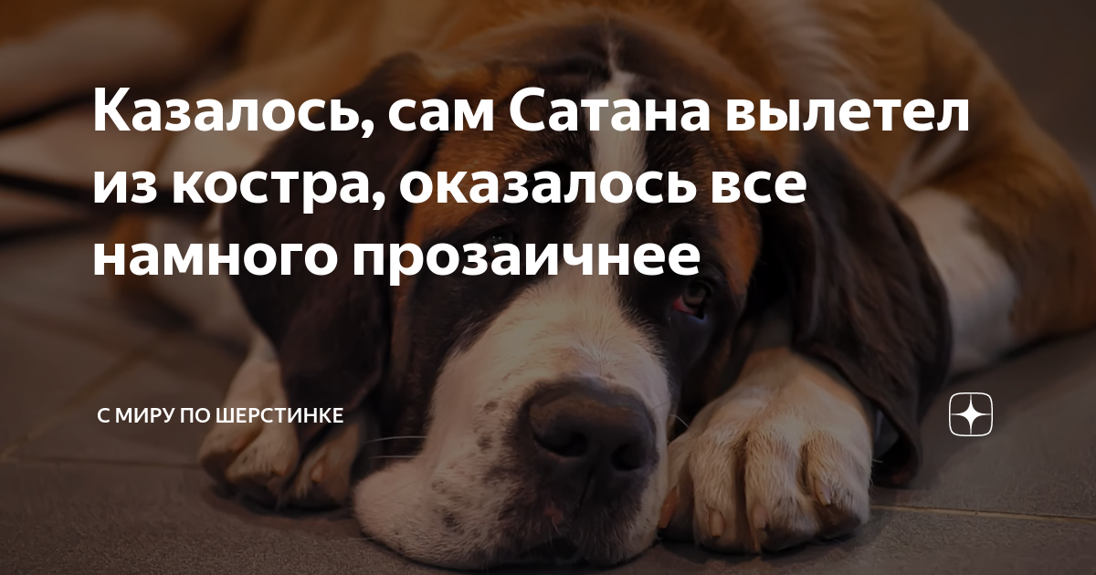 Казалось, сам Сатана вылетел из костра, оказалось все намного ...