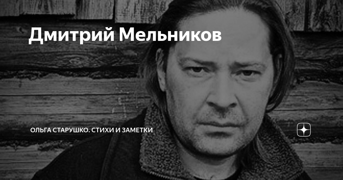 Дмитрий мельников фото