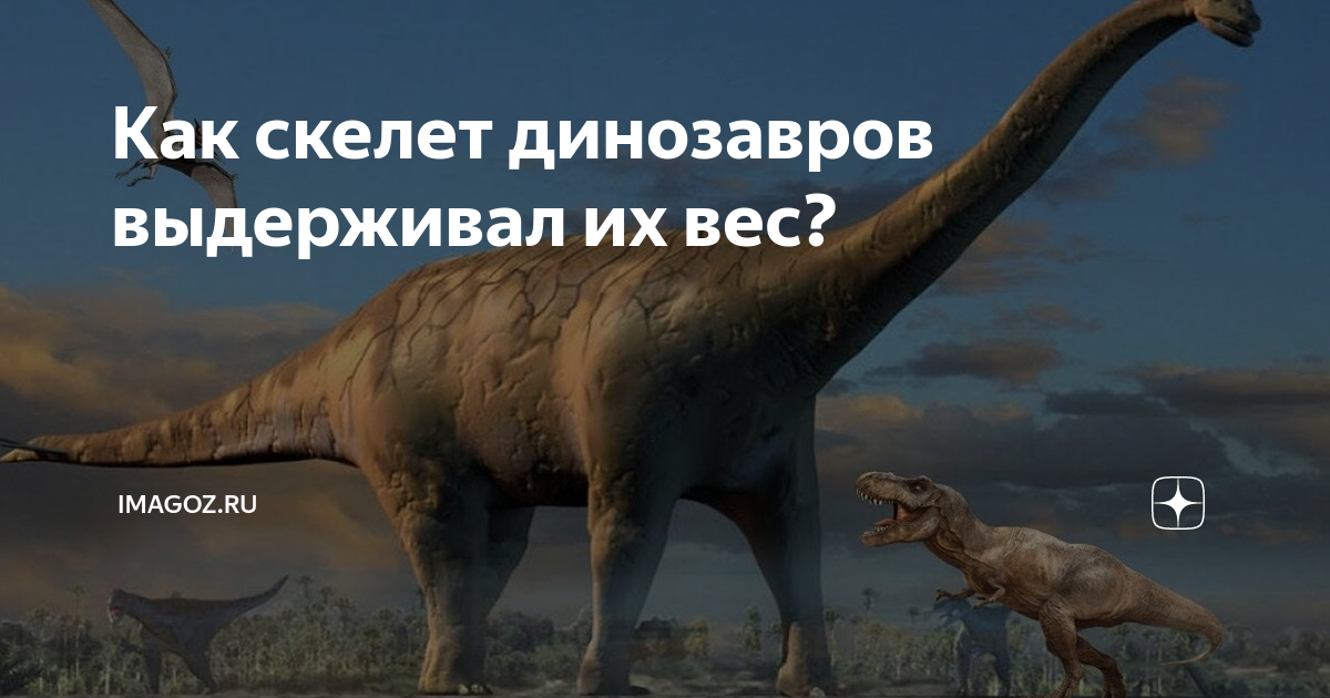Доказательство динозавров. Доказательства существования динозавров. Отличие динозавров от драконов. Журавлев а. до и после динозавров.. 16 Мая день динозавров