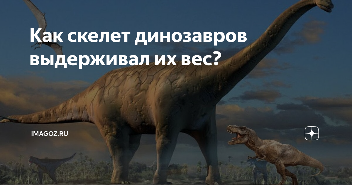 Доказательства существования динозавров. Отличие динозавров от драконов. Журавлев а. до и после динозавров.. 16 Мая день динозавров.