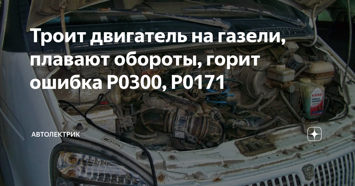Троит газель что может быть. Троит газель что может быть